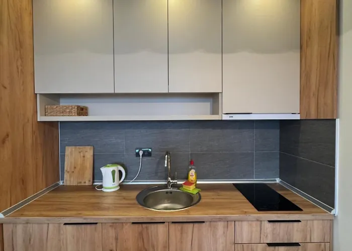 Hill A42 アパート コパオニク